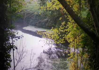 ENERGIES – Module 1- Conscience de soi et Energies des lieux